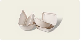 Bagasse Packaging